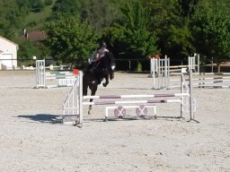 Chevaux